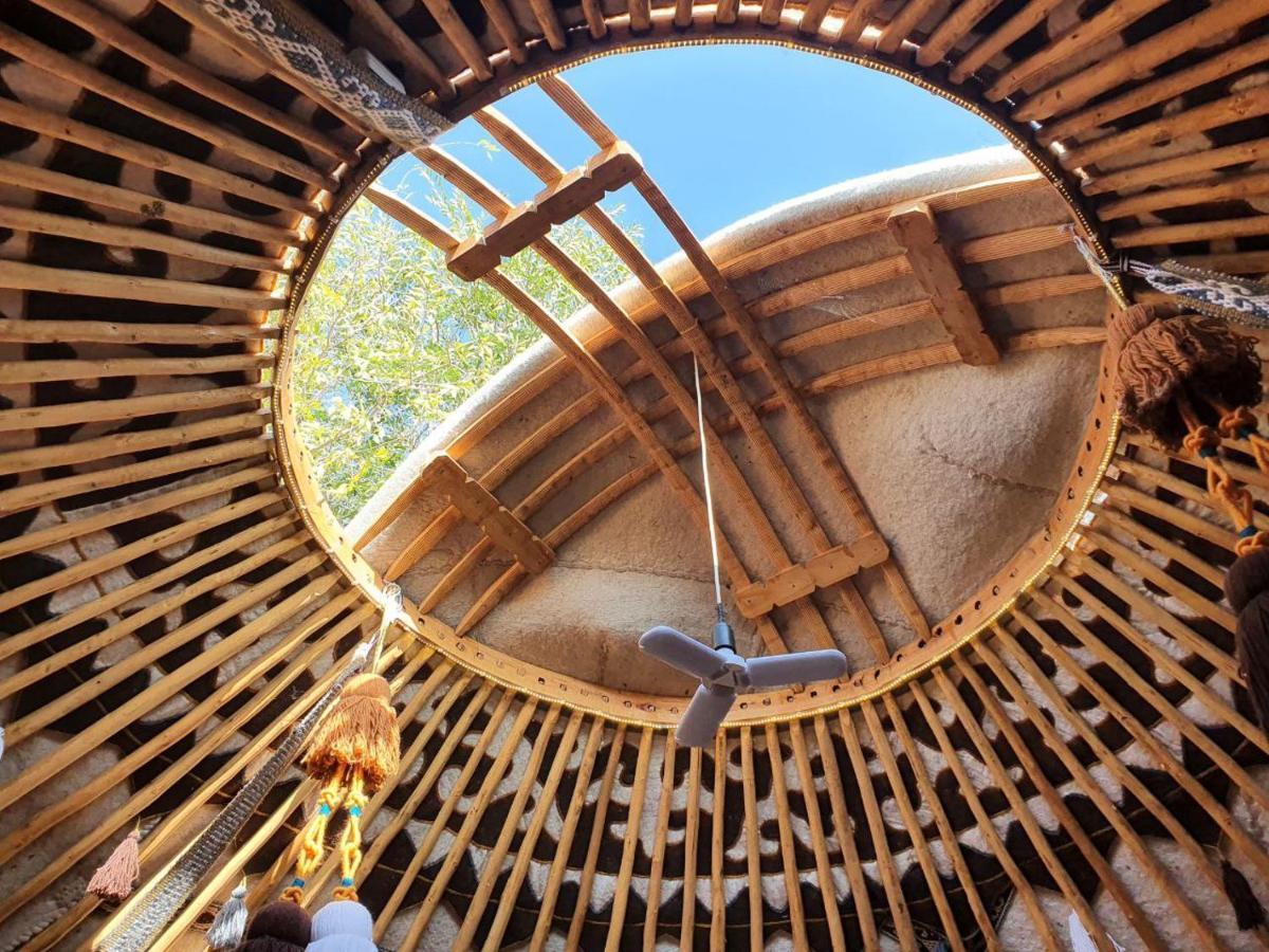 Bed and Breakfast Agat Yurt Camp Kaji-Say Exterior foto