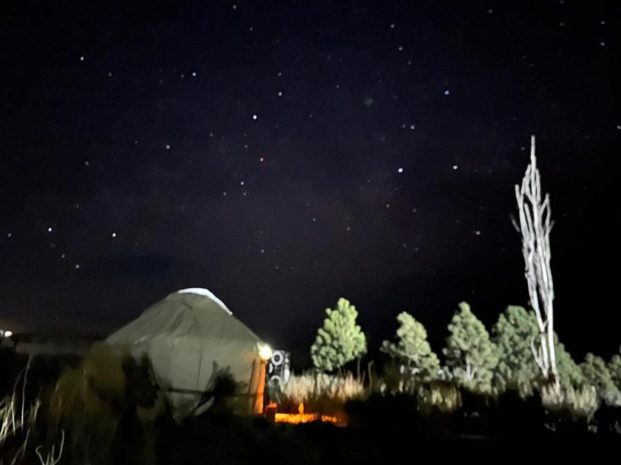 Bed and Breakfast Agat Yurt Camp Kaji-Say Exterior foto